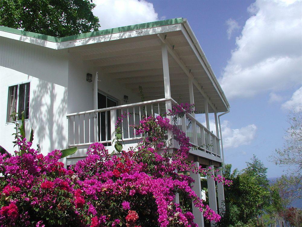 Nature'S Paradise Bed & Breakfast Marigot Bay Exterior photo