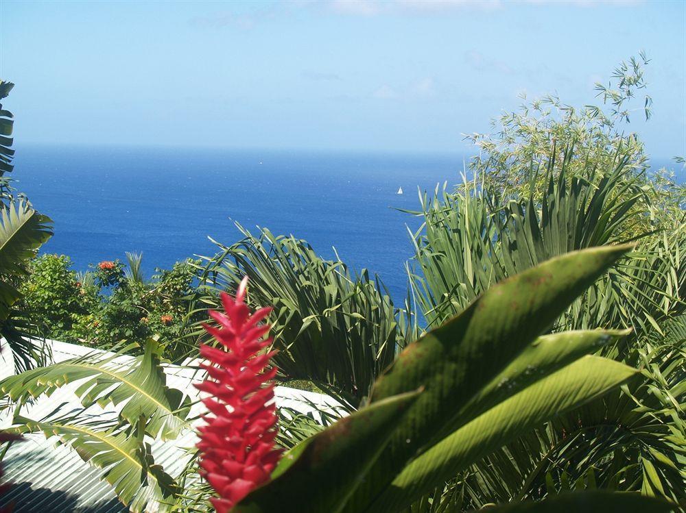 Nature'S Paradise Bed & Breakfast Marigot Bay Exterior photo