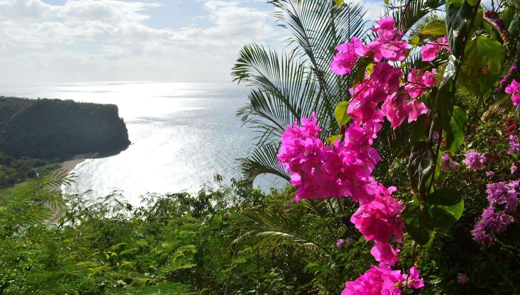 Nature'S Paradise Bed & Breakfast Marigot Bay Exterior photo