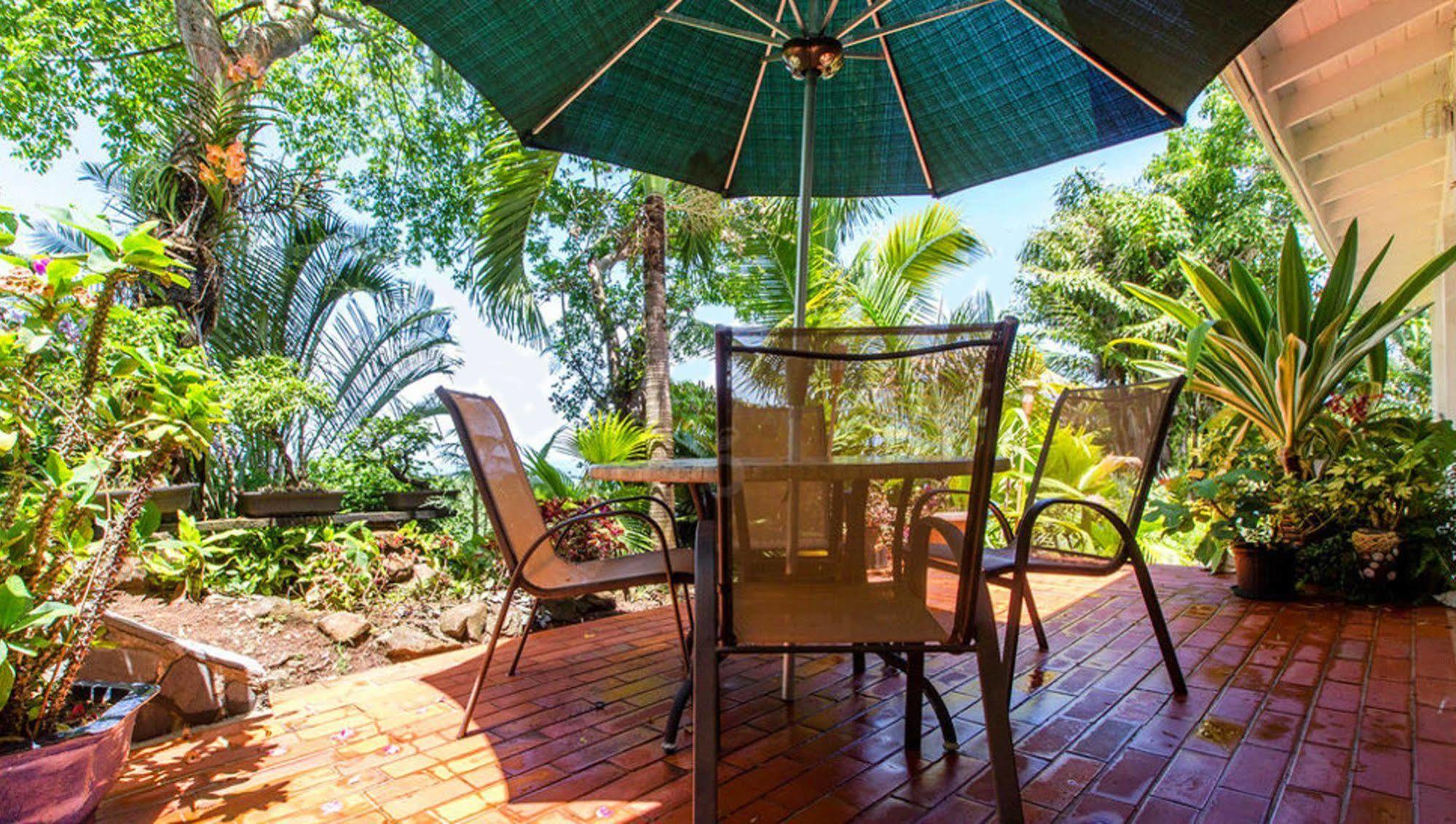 Nature'S Paradise Bed & Breakfast Marigot Bay Exterior photo